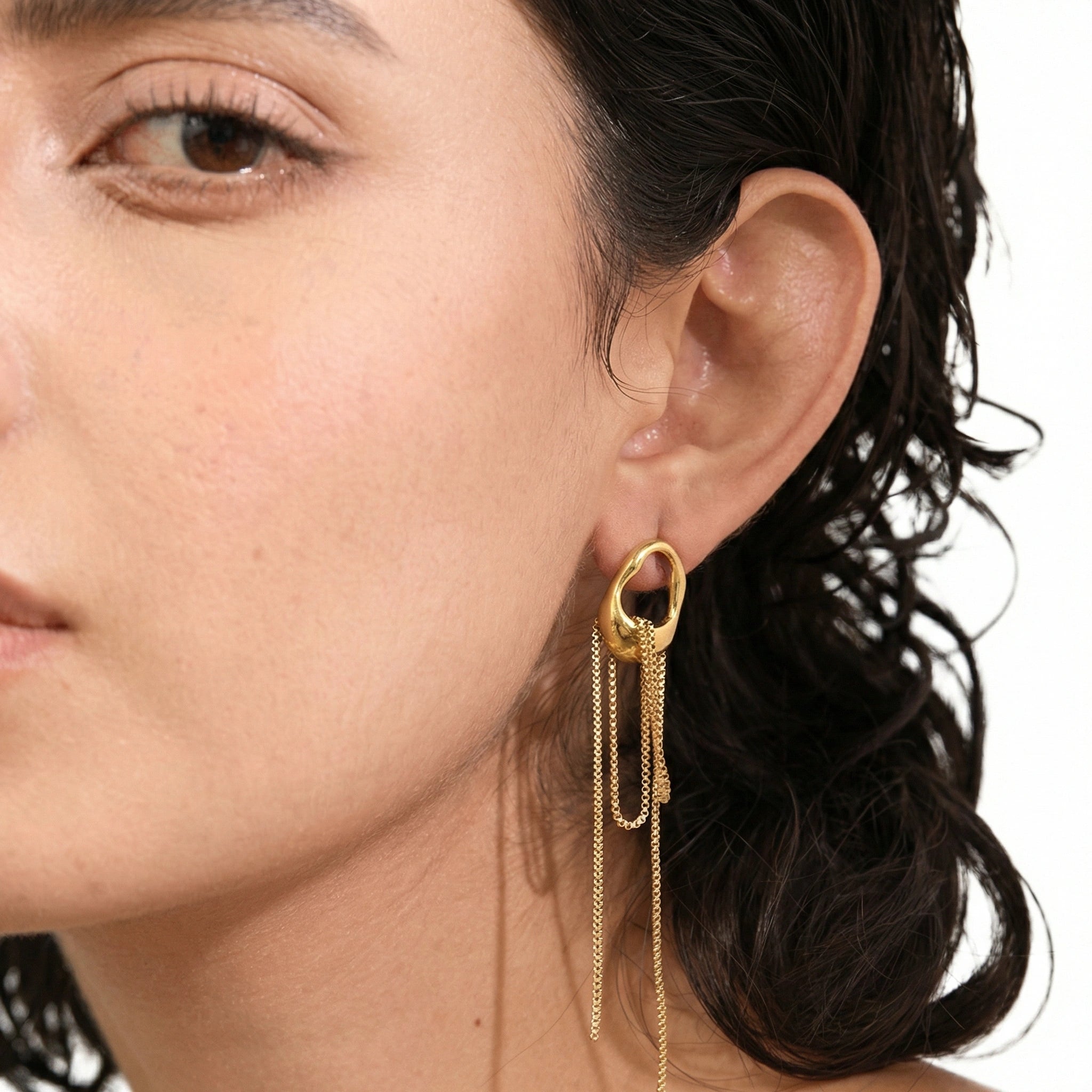 Geometric Tassel Chain Earrings