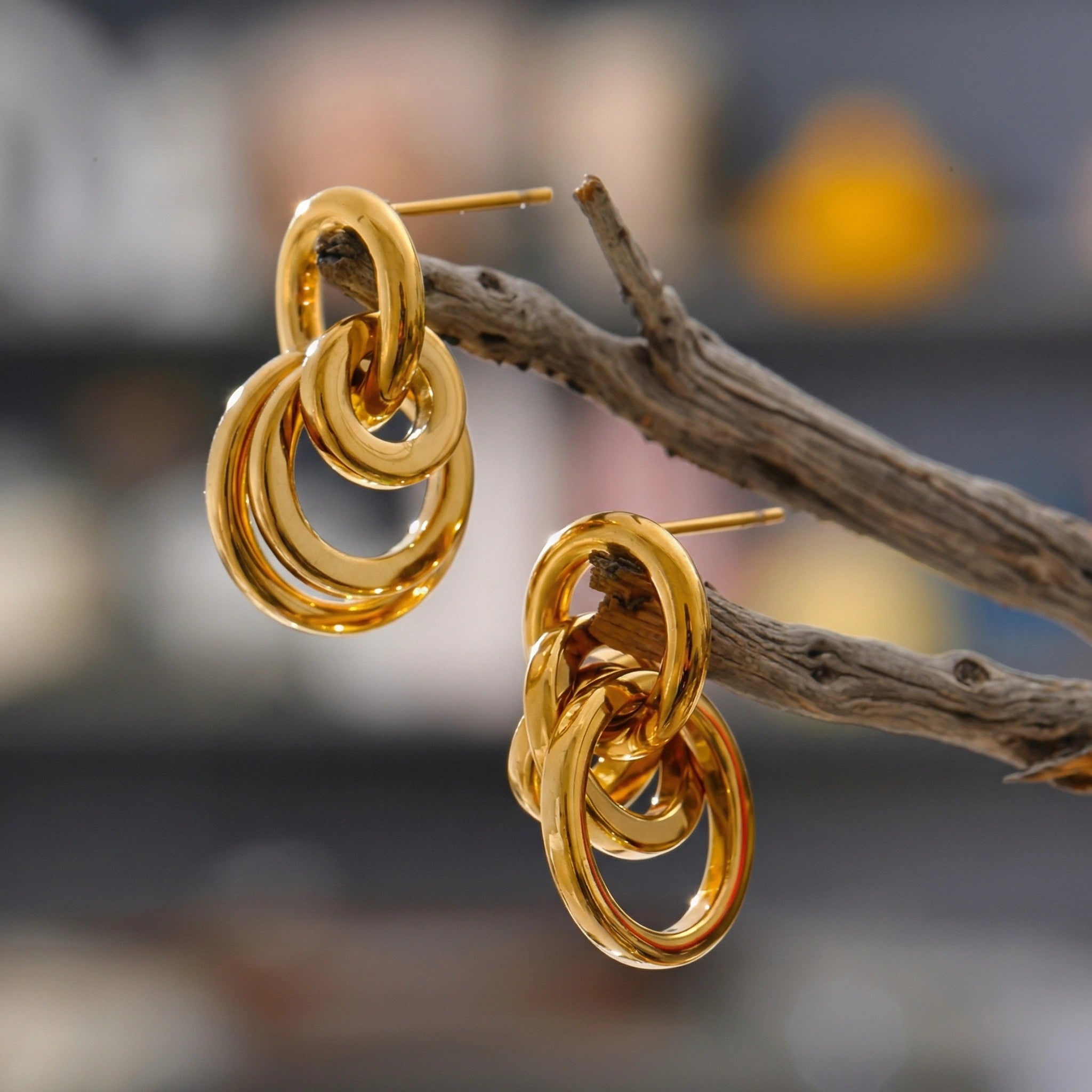 Multi Circle Stainless Steel Drop Earrings